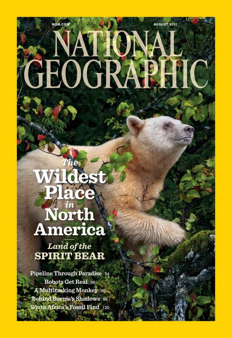 Special National Geographic Feature on the land of the Spirit Bear