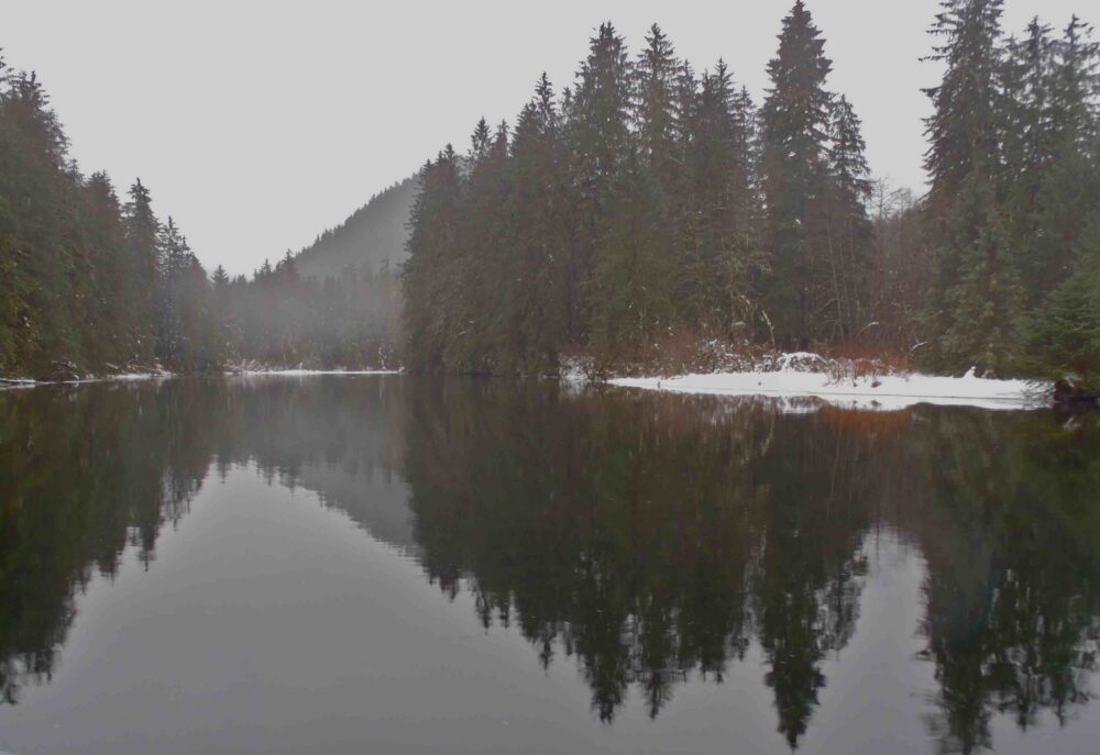 A lake surrounded by trees on a snowy day.