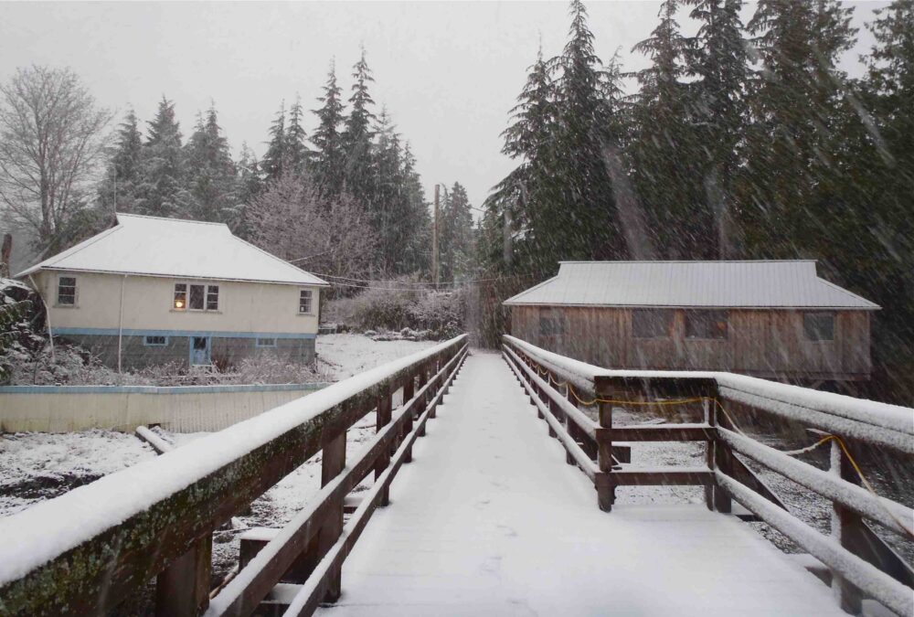 A bridge over a snow covered wooded area.