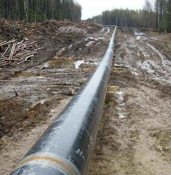 An oil pipeline stretches through a clear cut forest