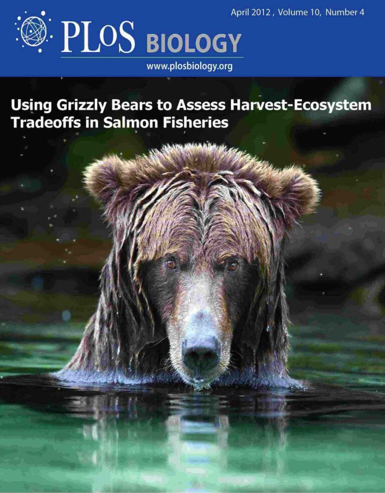 Using grizzlies to assess harvest-ecosystem trade-offs in salmon fisheries
