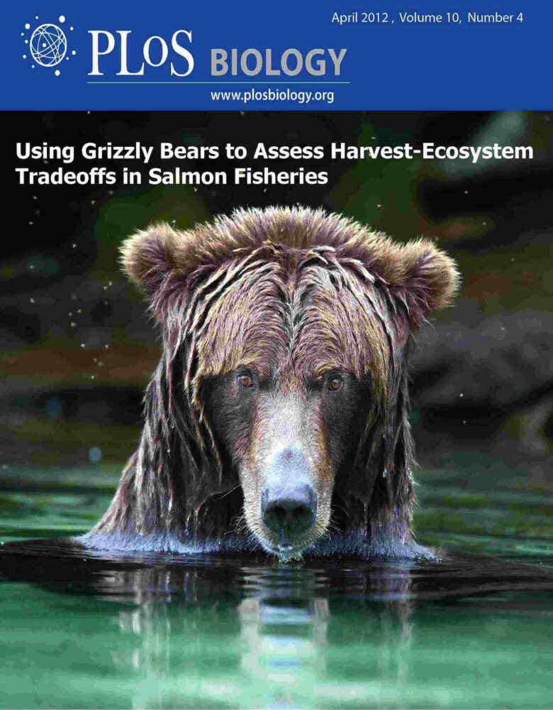 Using grizzly bears to access harvest ecosystems in salmon habitats.