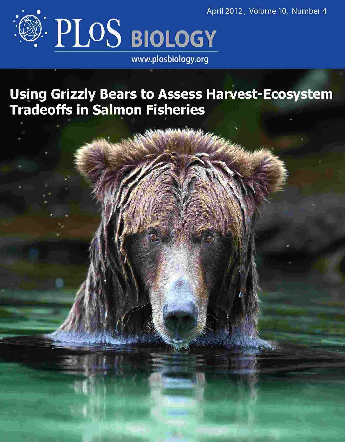 Grizzly bear science article cover.