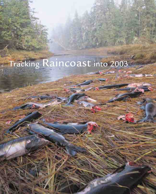 Tracking raincoast in 2003.