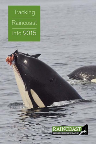 The cover page of our annual report, tracking Raincoast into 2015, featuring a killer whale eating a salmon