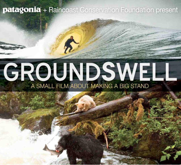 A “Groundswell” of talks for the Great Bear Rainforest