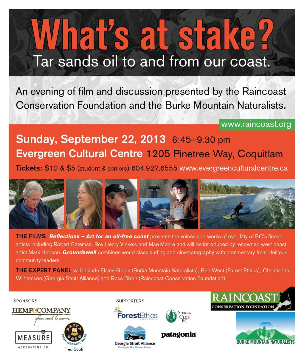 What's at stake flyer.