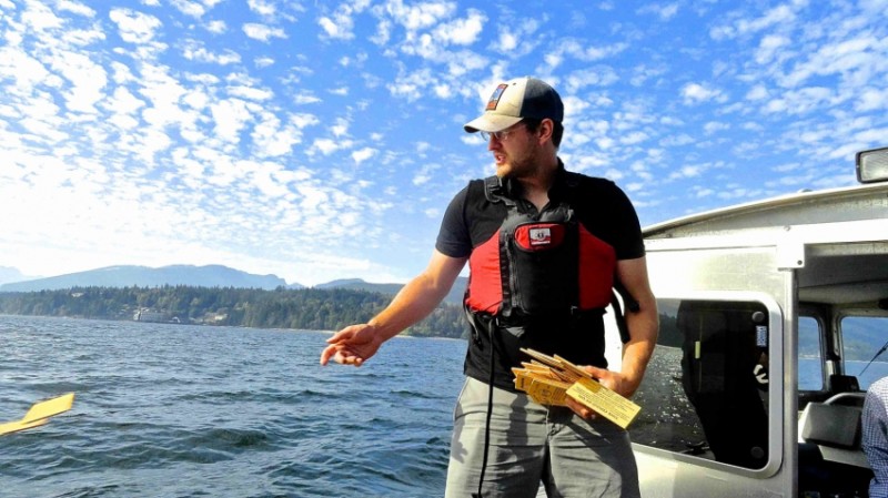Raincoast researcher throws a drift card into the water off a boat