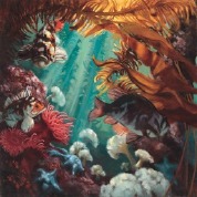 Painting by Gaye Adam of underwater view of rockfish group