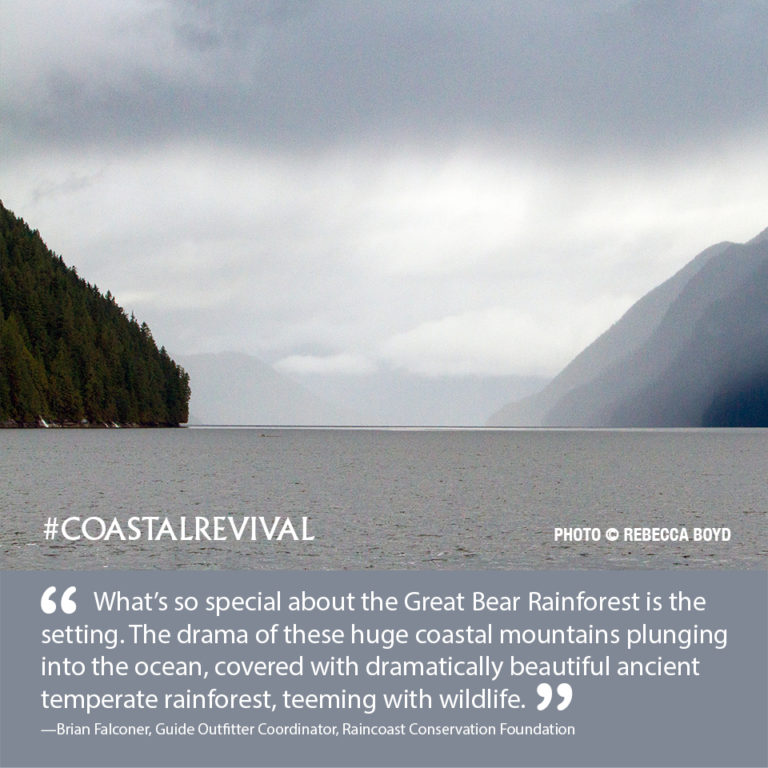 What's about the great bear rainforest.