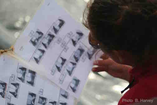 A woman looking at a sheet of paper with pictures on it.