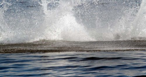 Water splashes in every direct from an unseen killer whale