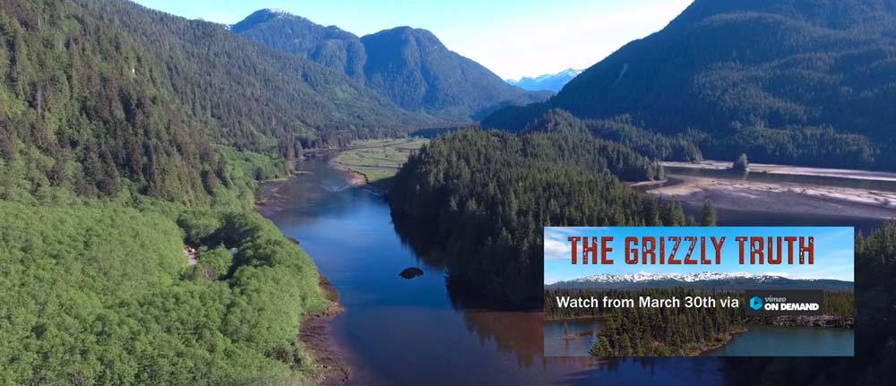Documentary, The Grizzly Truth: a scene in an inlet of the Great Bear Rainforest