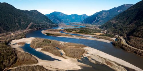 Spawning channel on the lower mainland.