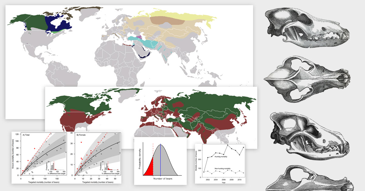 Mashup of maps and population distribution graphs overlaid onto wolf skull illustrations.