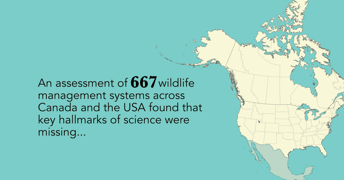 A map of North America and then in text it says, An assessment of 667 wildlife management systems across Canada and the USA found that key hallmarks of science were missing...