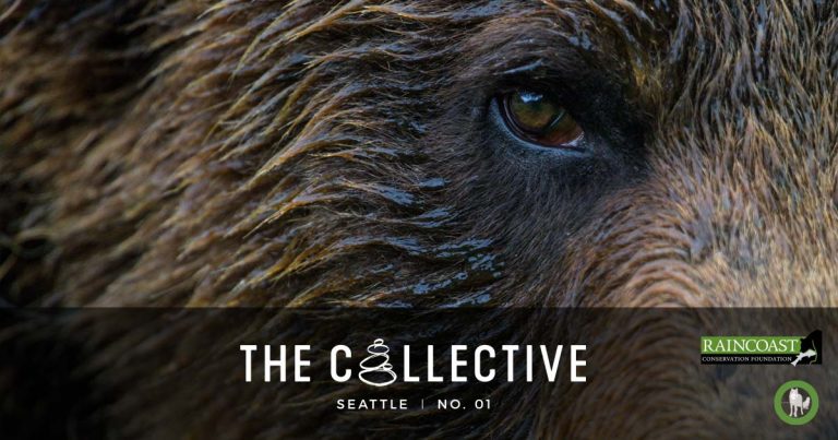 Coastal carnivore conservation in the Pacific Northwest – The Collective, Seattle