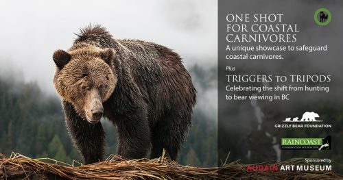 One Shot for Coastal Carnivores set to open at Audain Art Museum in Whistler