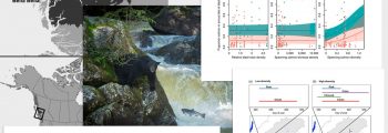 A collage of images and graphs from a published peer reviewed article on salmonid species diversity and bear health: Hakai, Raincoast, University of Victoria, and Spirit Bear Foundation logos at the bottom.