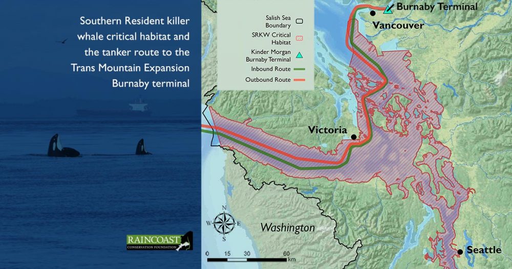 Beam Reach Haro Strait Salish Sea, with a map of the Southern Resident killer whale critical habitat and the tanker route tot he Trans Mountain Expansion Burnaby terminal.