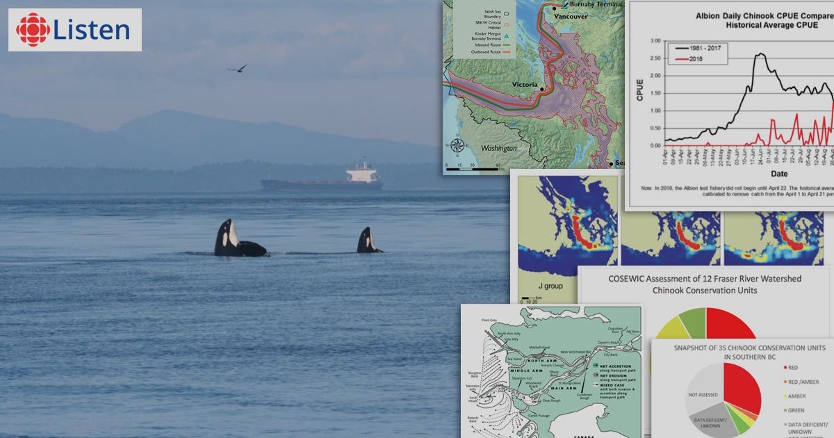 Killer whales spyhop with a tanker in the background and population viability maps in the foreground.