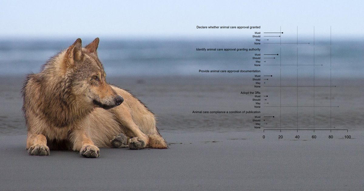 A wolf rests on the beach in the Great Bear Rainforest, with a chart from Figure 1 overlaid.