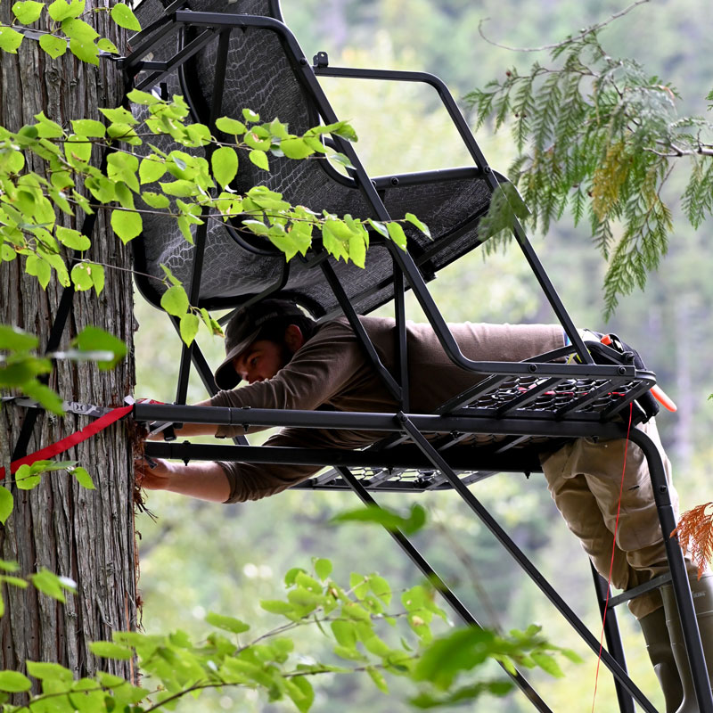 Research associate Andrew Sheriff (UVic) secures tree stand with ratchet straps.