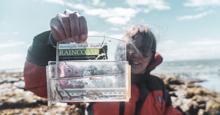 Misty MacDuffee holds up some small salmon from the testing phase of the Fraser River connectivity project.