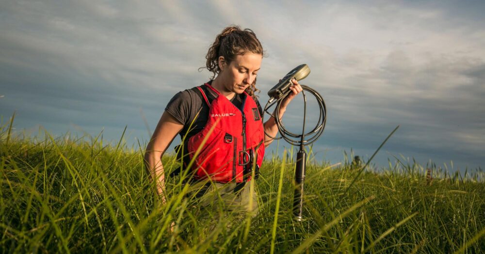 Lia Chalifour walks through the tall grass of the Fraser Estuary hauling her equipment for the salmon ear bone study.