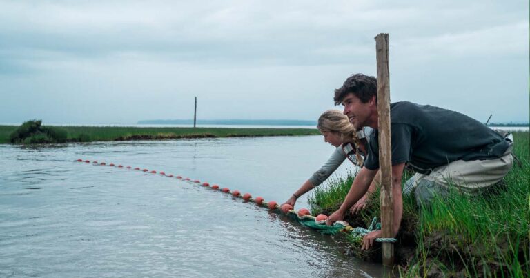 Two people holding a net while doing fish research on a cloudy day