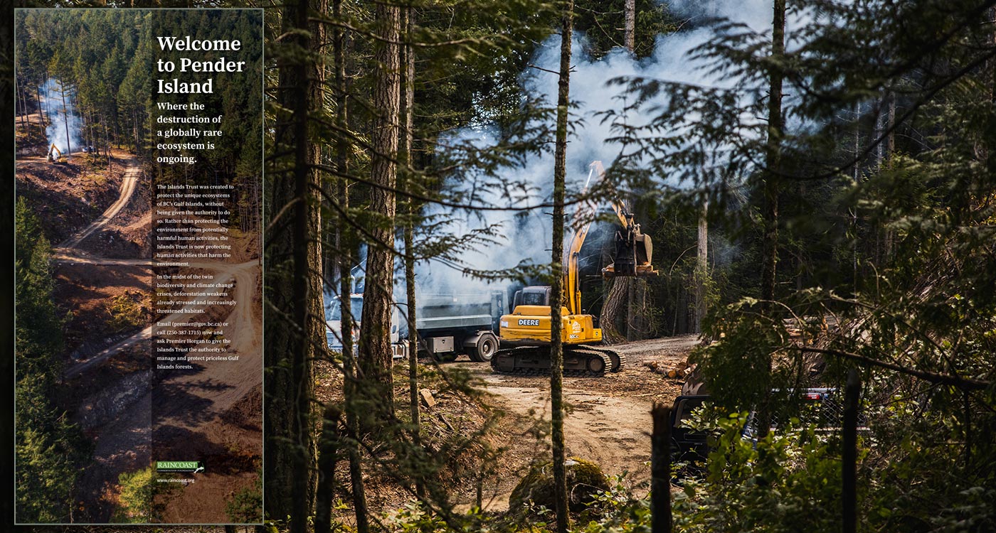 A backhoe works on a cutblock on Pender Island, with remaining trees and smoke scattered around the edge.