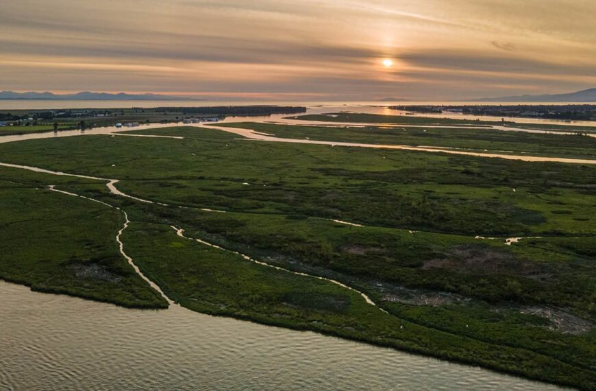 Drone image of the floodplain in the Fraser River Estuary at sunset.