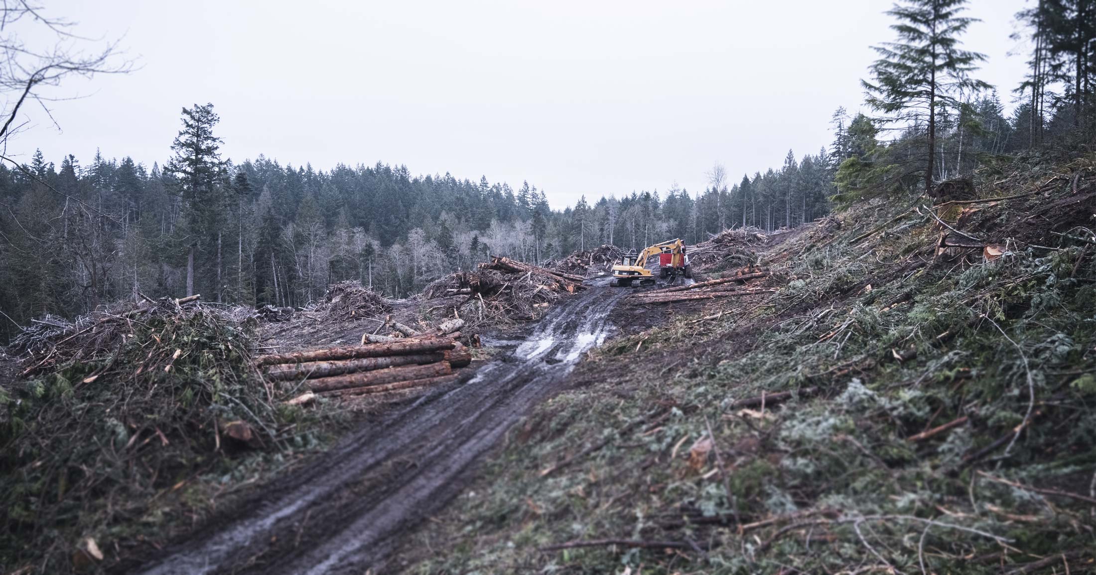 A cutblock covered in cut trees and muddy roads with a large digger on the Gulf Islands.