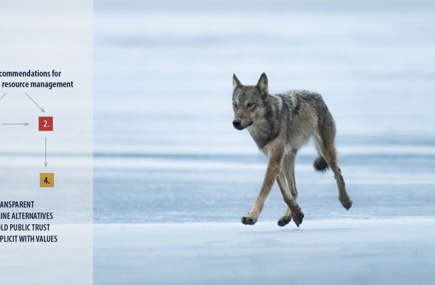A wolf prances across the ice with all four feet frozen in time floating above the ice, a chart floating in the distance.