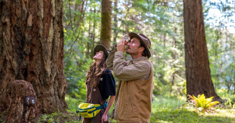 Two people looking up at a tree with one person measuring the height of a tree using an inclinometer.