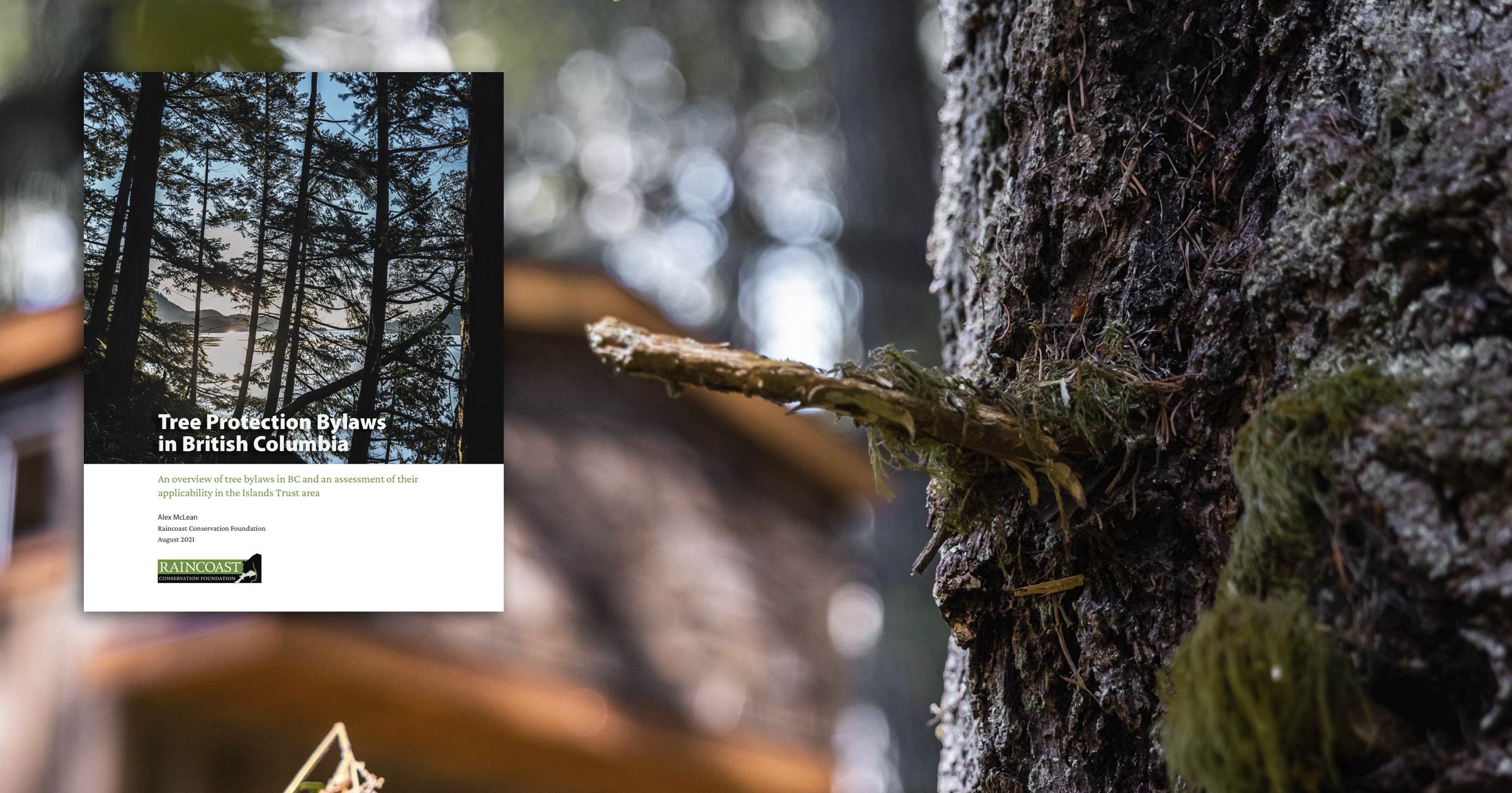 The report cover of the Tree Protection Bylaws in BC report hovers over a tree and a blurry house.