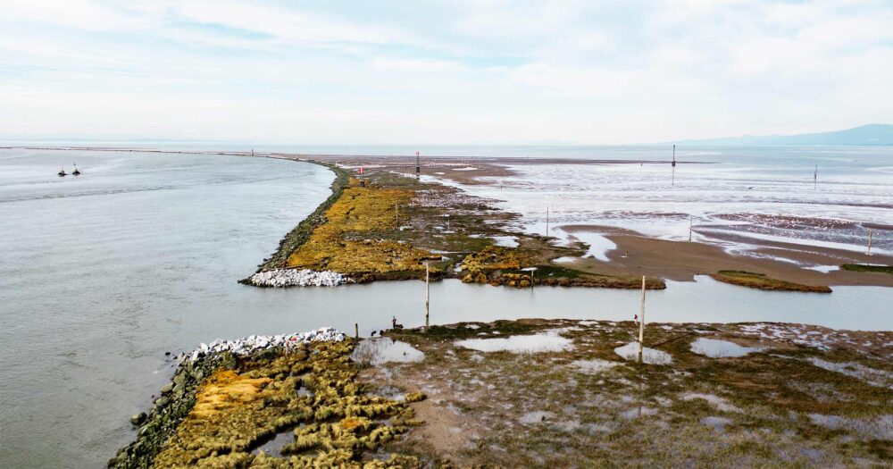 Drone image of the Steveston Jetty with a large breach that was apart of our restoration project.