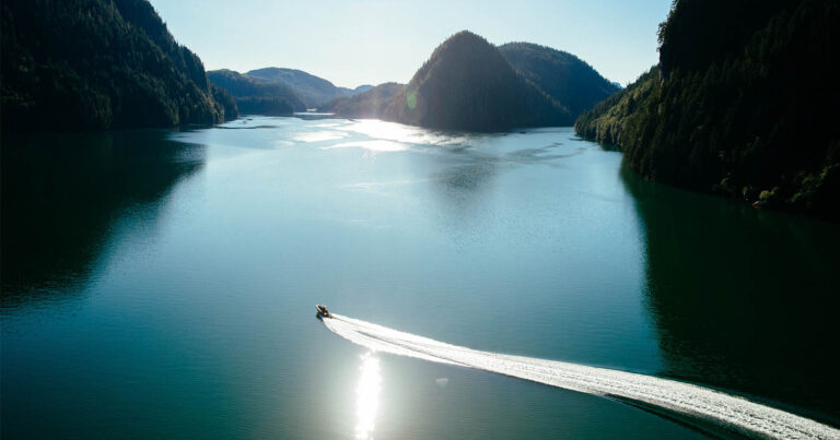 Vessel built for trophy hunting repurposed for wildlife viewing – an inspiring move towards the new conservation economy