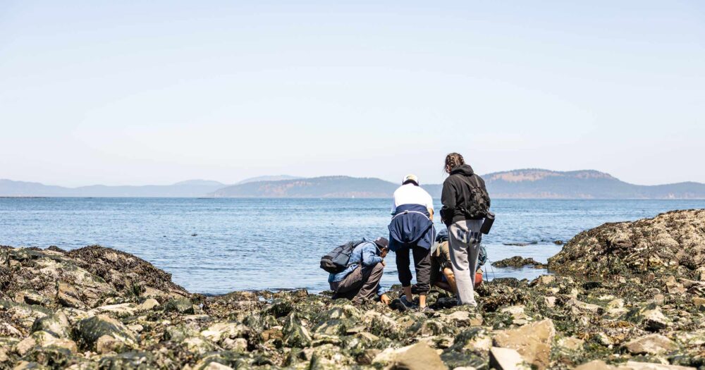 Group of youth in the intertidal on a sunny day.