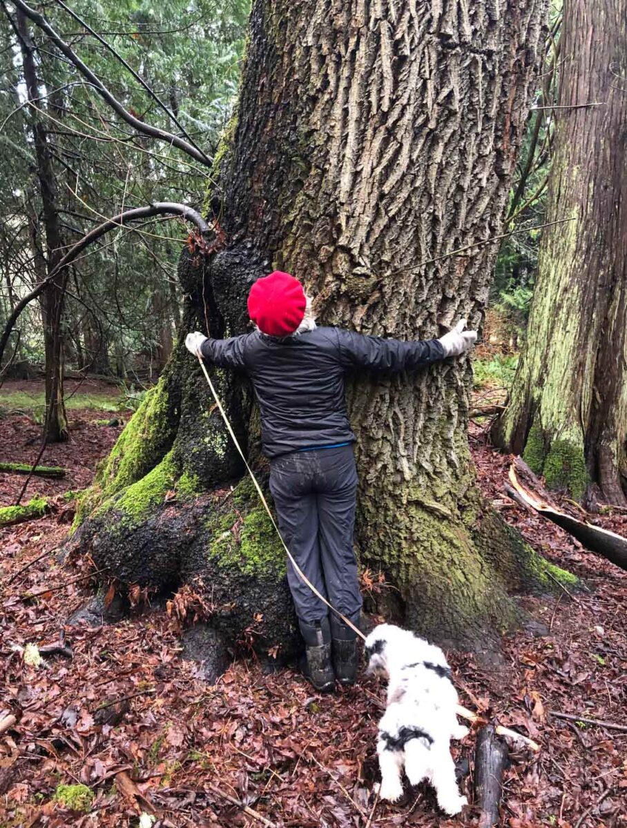 Woman with a dog hugging a Coastal Douglas-fir tree. 