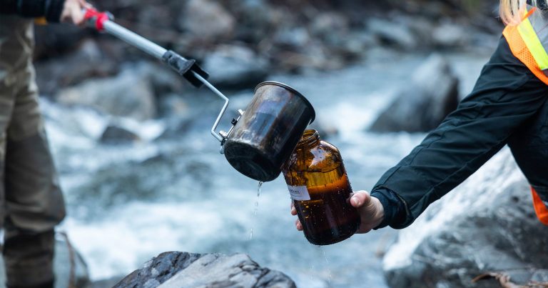 People working together to take samples of water in jars.