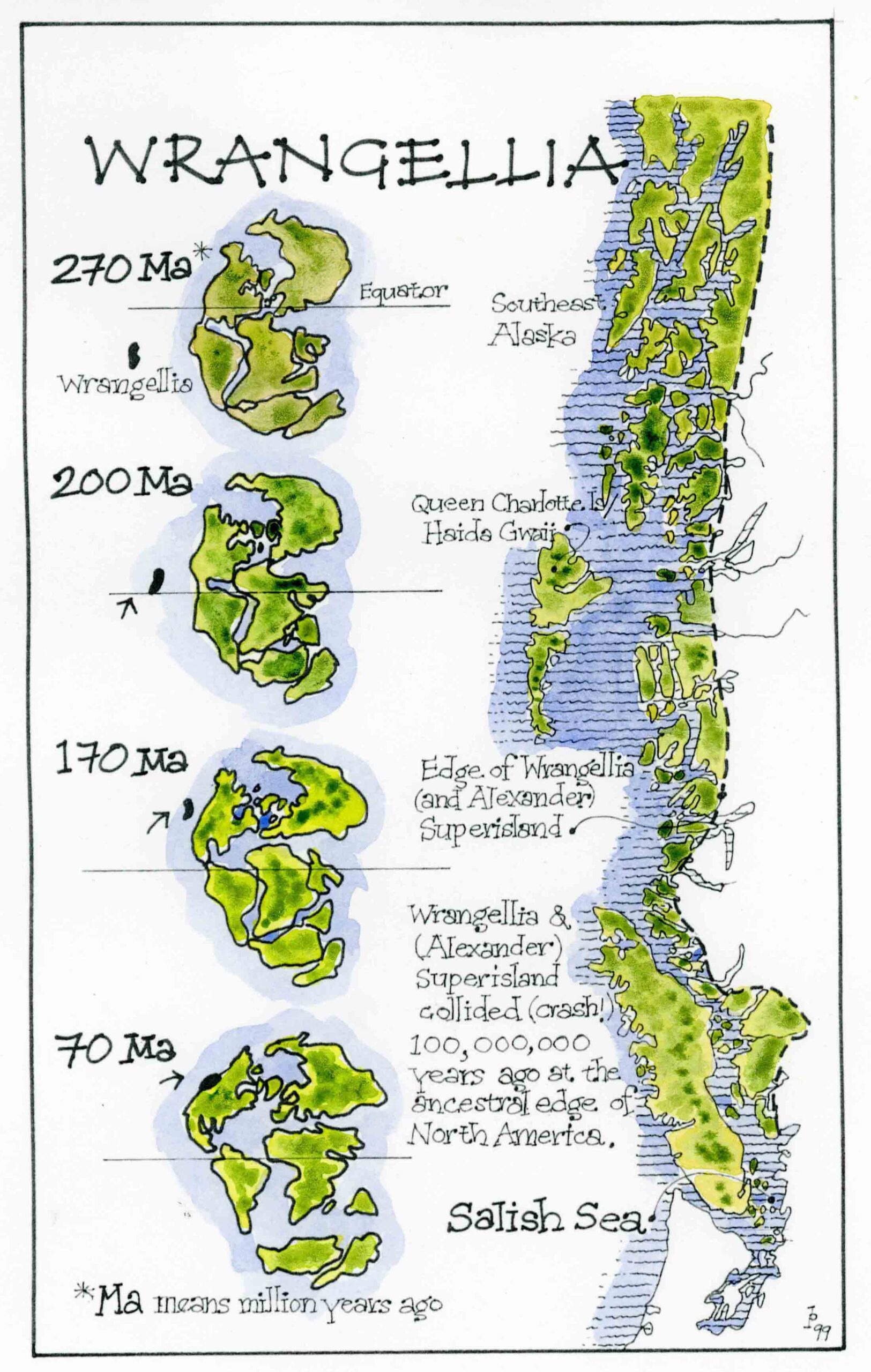 The story of Coastal Douglas-fir forests: Stewarding the small things ...