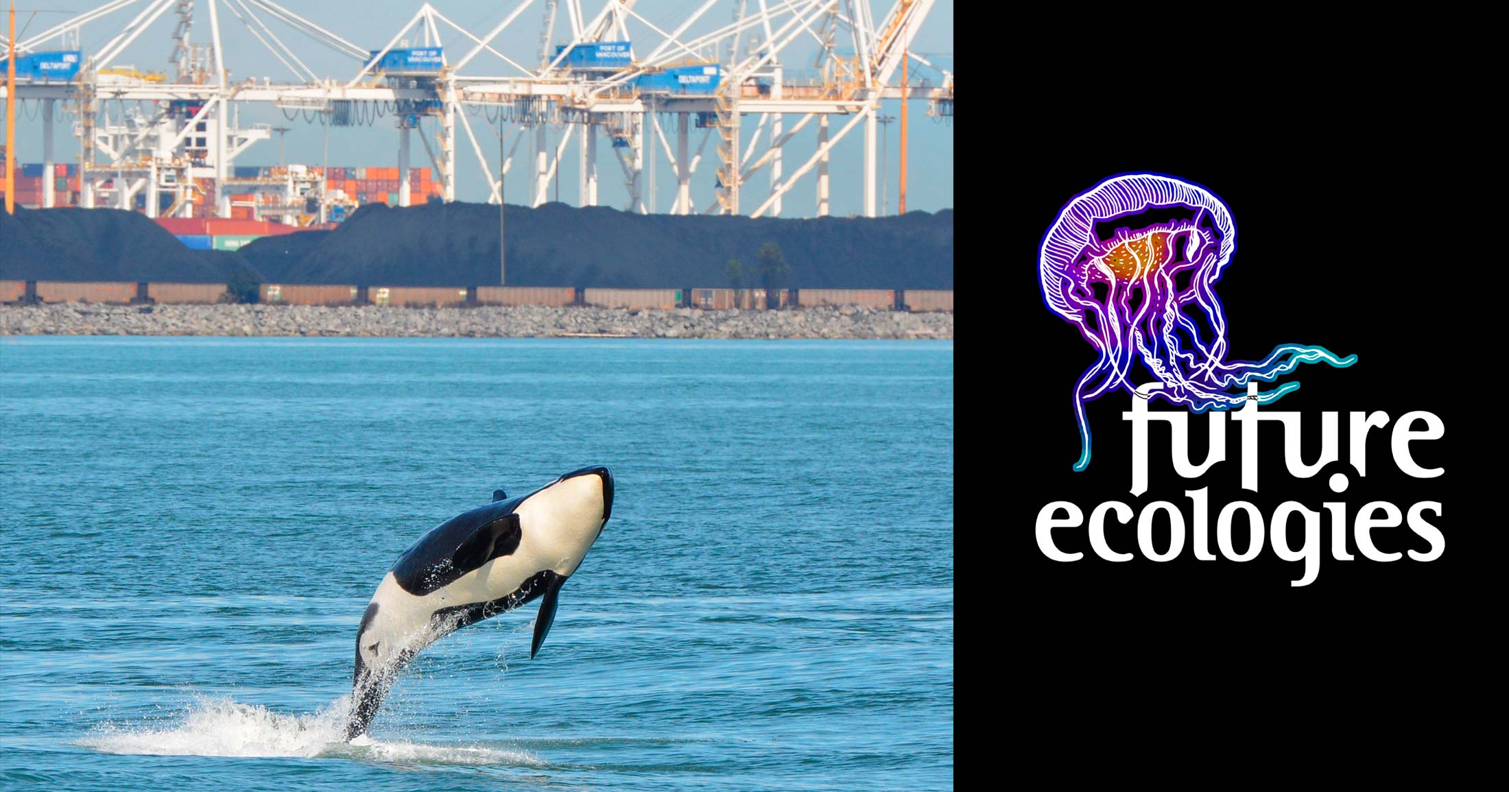 A killer whale jumps into the air with the Roberts Bank port looming in the background, and the Future Ecologies logo floating off to the right.