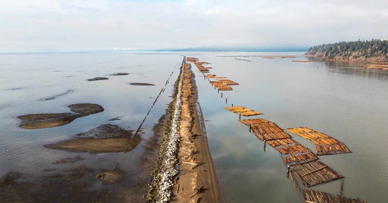 Drone photo of North Arm jetty.