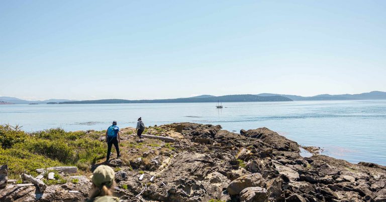 Rocky outcropping on an island in the Salish Sea.