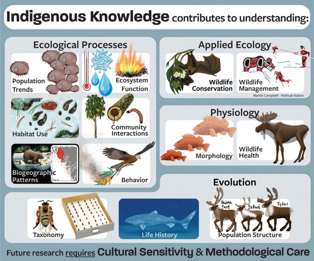 Indigenous knowledge figure showing how Indigenous Knowledge contributes to understanding.