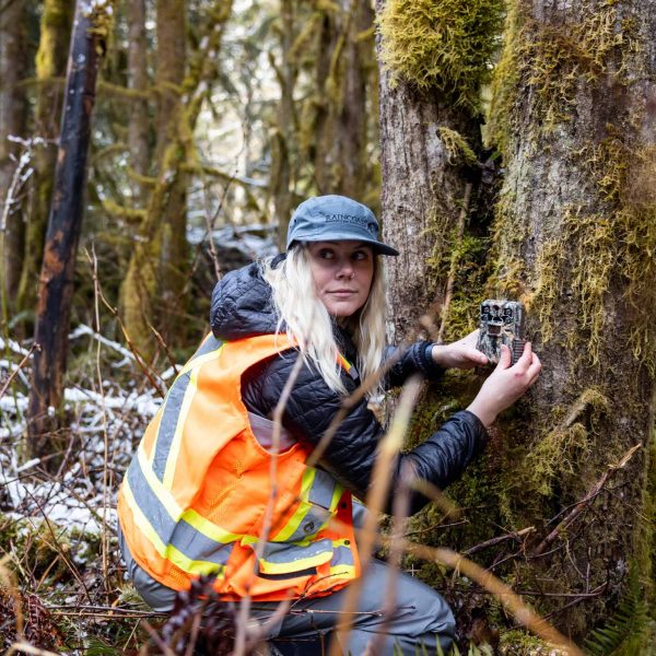 Chelsea Greer hanging a wildlife camera.
