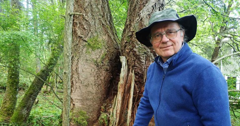 The story of Coastal Douglas-fir forests: An ancient legacy, a critical future