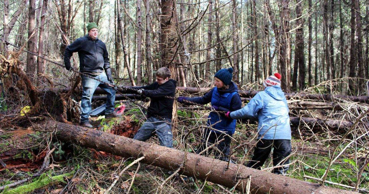 Four people pulling a rope in a forest.