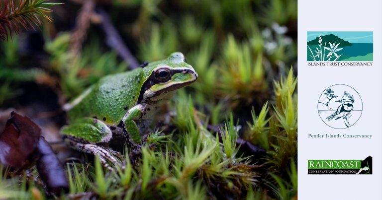 Logos from the supporting organizations, including Raincoast, Pender Conservancy, and Islands Trust, beside a frog.